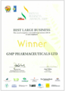 GMP wins Best Large Business
