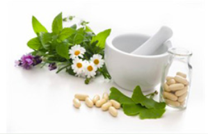 Kevin Lu and Rob Martin will attend the Natural Health Fair 2007 in Hong Kong